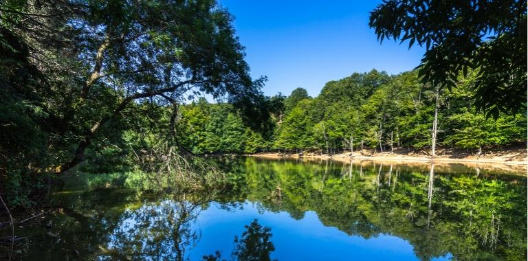 Lago tranquillo circondato da alberi verdi, riflessi perfetti sull'acqua sotto un cielo azzurro.